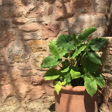 Torres De Selma - Eco Bed and breakfast *