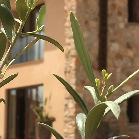 Bed and breakfast Torres De Selma - Eco