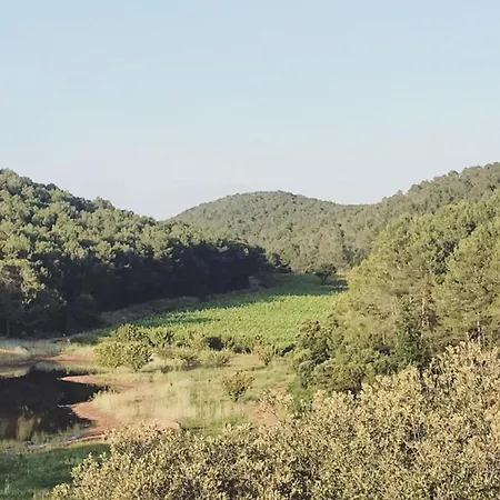 Bed and breakfast Torres De Selma - Eco